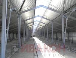 Телятник 2380 кв.м.